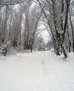Александр Петров