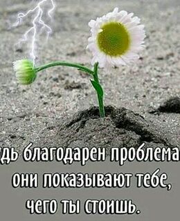 sbalabanov114@gmail.com